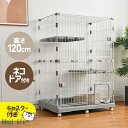 【猫専用ドア付き 】猫 ケージ キャットケージ 2段 多頭飼い 1段可能 猫ケージ ペットケージ ケージ ペット用 キャットハウス キャスター付き ペットサーク...