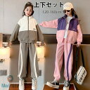 セットアップ キッズ 春服 秋服 運動着 ジャージ 女の子 スポーツウェア 上下セット 長袖 パンツ スウェット 立ち襟 ゆったり カジュアル 生 パンツセット...