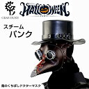 高品質の追求クリスマス スチームパンク 鳥のくちばしドクターマスク コスプレ 仮装 衣装 大人 可愛い なりきり 変身 パーティー 誕生日 クリスマス プレゼン...