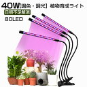 【調色・調光】植物育成ライト 日照不足解消 LED 植物育成ライト 80LED 40W 植物 ライト 植物育成 室内栽培 水耕栽培 観葉植物 野菜工場 多肉植物...
