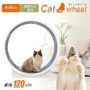 キャットホイール 猫 キャットランナー 120cm 自走式 運動 ホイール 運動不足解消グッズ猫 回し車 室内飼い猫の運動不足解消 猫 ホイール 猫 ルームラン...