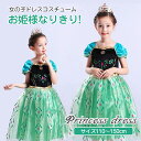ハロウィン ハロウィーン キッズ 子供 衣装 仮装 アナ ドレス アナ雪 プリンセス コスチューム コスプレ プリンセスワンピース お姫様なりきり!ワンピース ...
