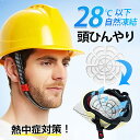 【赤字覚悟×5個購入でわずかで1196円!】 アイスパッド 帽子 保冷剤 頭 冷却 熱中症対策 グッズ帽子頭を冷やすグッズ暑さ対策グッズ接触冷感28度冷却グッズ...