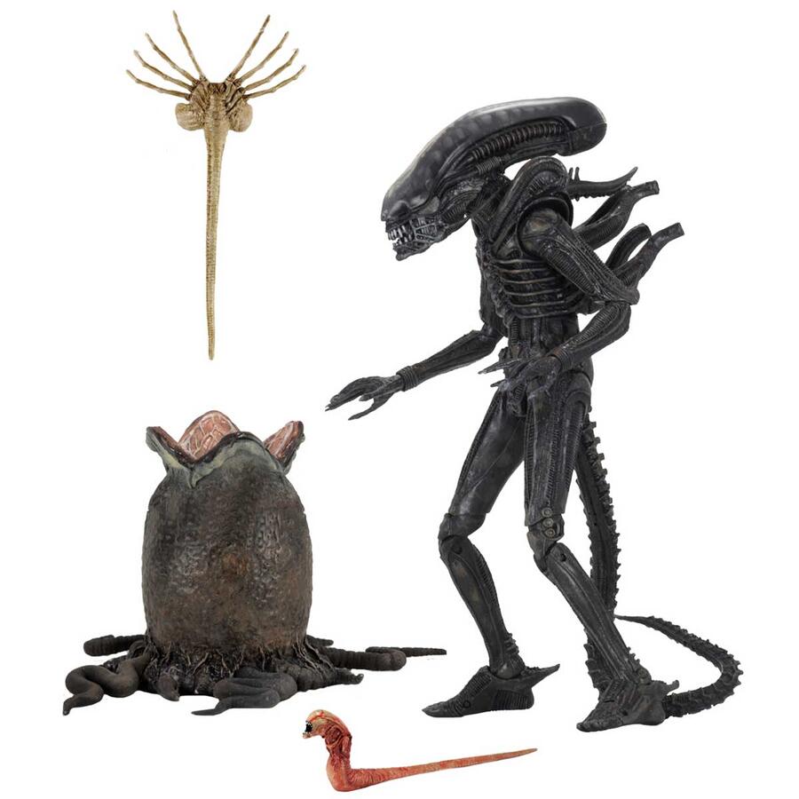 楽天市場】neca スーパーマン vs エイリアンの通販 楽天市場】neca スーパーマン vs エイリアンの通販