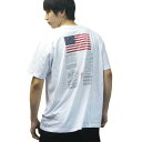 USAバージョン ブラッドチット Tシャツ ALPHA LOGO アルファ インダストリーズ SML LOGO TEE ALPHA INDUSTRIES 米国並行輸入 値引きクーポンと39ショップ限定条件クリアで 