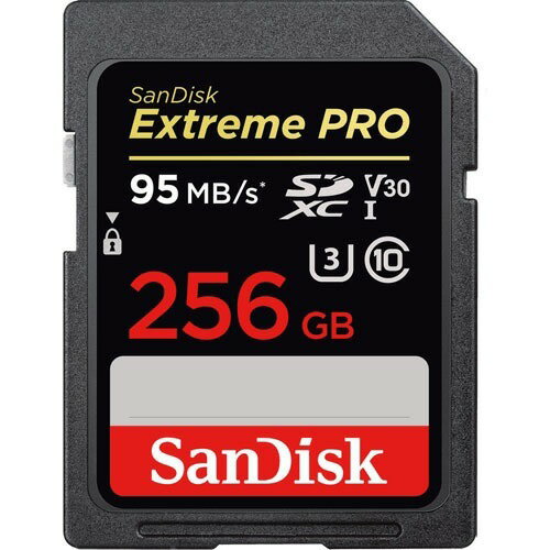 SDSDXXG-256Gの製品写真