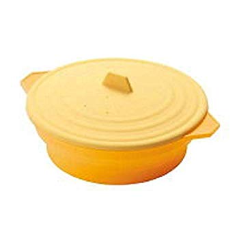 10010004527231034018 1