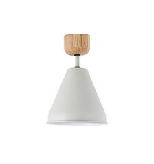 COLOR & WOOD 1BULB CEILING LIGHTの写真