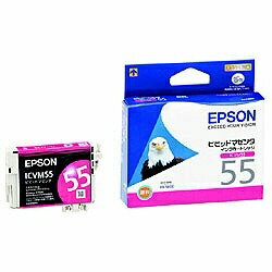 ICVM55の製品写真