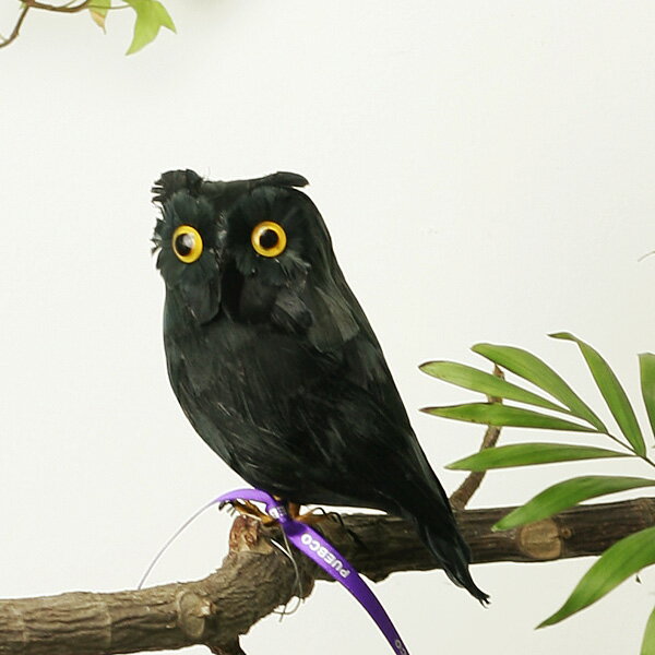 アーティフィシャル・バード “Black Owl" - Sの写真