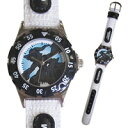 コスミック 腕時計 PK10153の画像