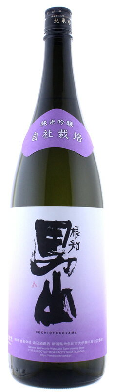 根知男山 メイン画像