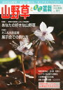 山野草とミニ盆栽 2014年 01月号 雑誌 /近代出版