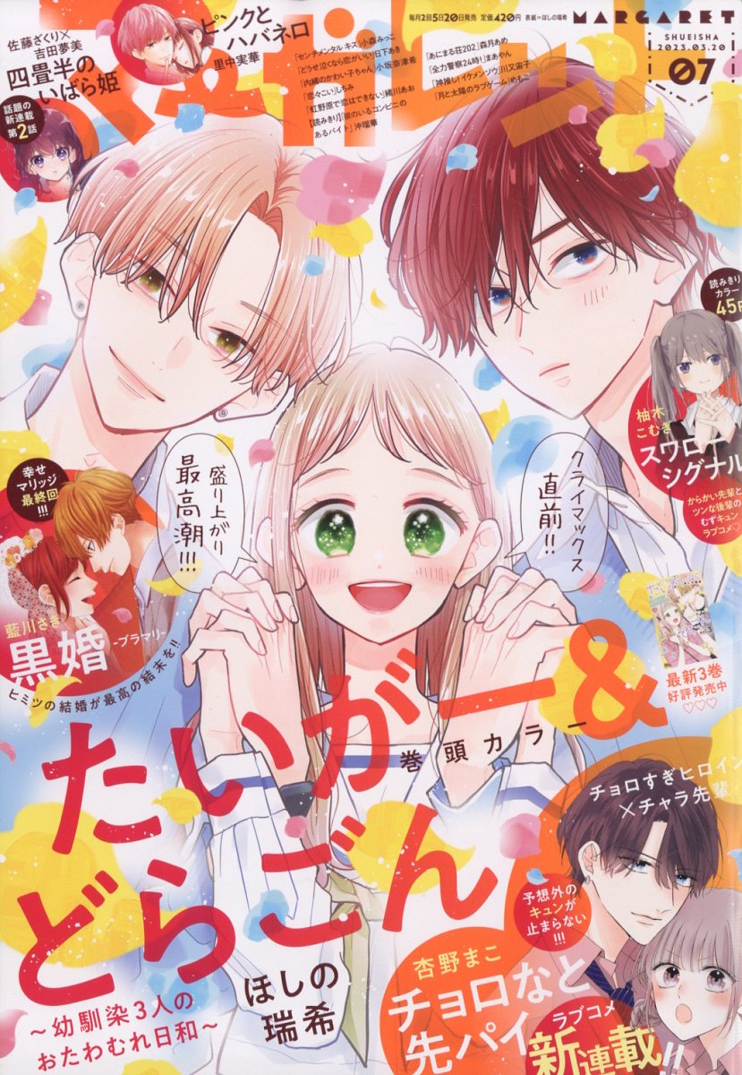 10010004910204230331 1 - 【あらすじ】『たいがー&どらごん』24話(4巻)【感想】