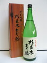 杉並木 メイン画像