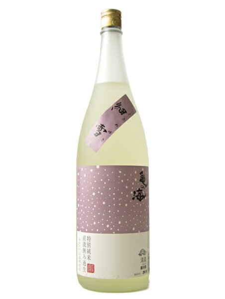 亀の海 メイン画像