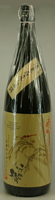 いづみ橋 画像 9