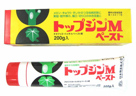 草木の切り口に塗るやつ 癒合剤 の種類と違い ろくまるぶろぐ