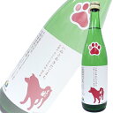 千代菊