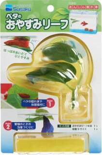 美しい体色の熱帯魚ベタの冬場の適正な水温は はじめてのアクアリウム 美しい体色の熱帯魚ベタの冬場の適正な水温は はじめてのアクアリウム