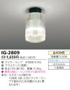 東芝ライテック 小形シーリングライト IG-2809の画像