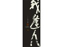 我逢人