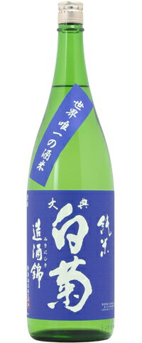 大典白菊 画像 8