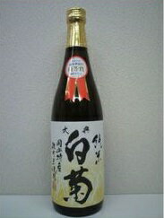 大典白菊 画像 6