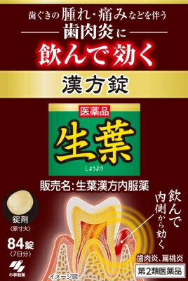 生葉漢方錠 84錠の画像