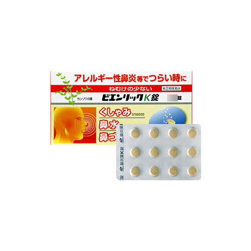 ビエンリックK錠 48錠の画像