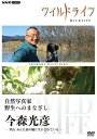 ワイルドライフ 自然写真家 野生へのまなざし 今森光彦/ＤＶＤ/ NHKエンタープライズ NSDS-25616