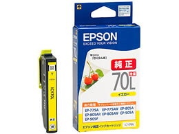 ICY70Lの製品写真