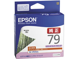 ICVLM79の製品写真