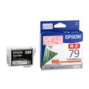 EPSON エプソン販売 ICGY79A1