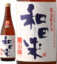 和田来 メイン画像