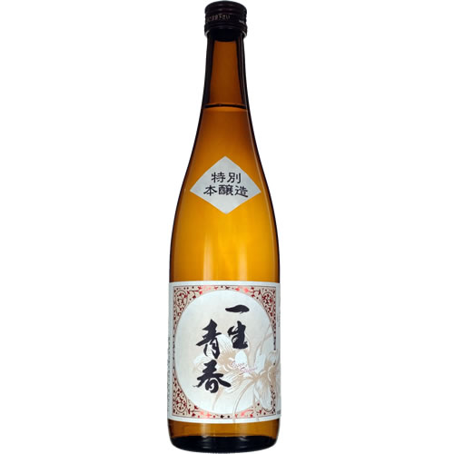 一生青春 メイン画像