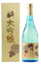 九州菊