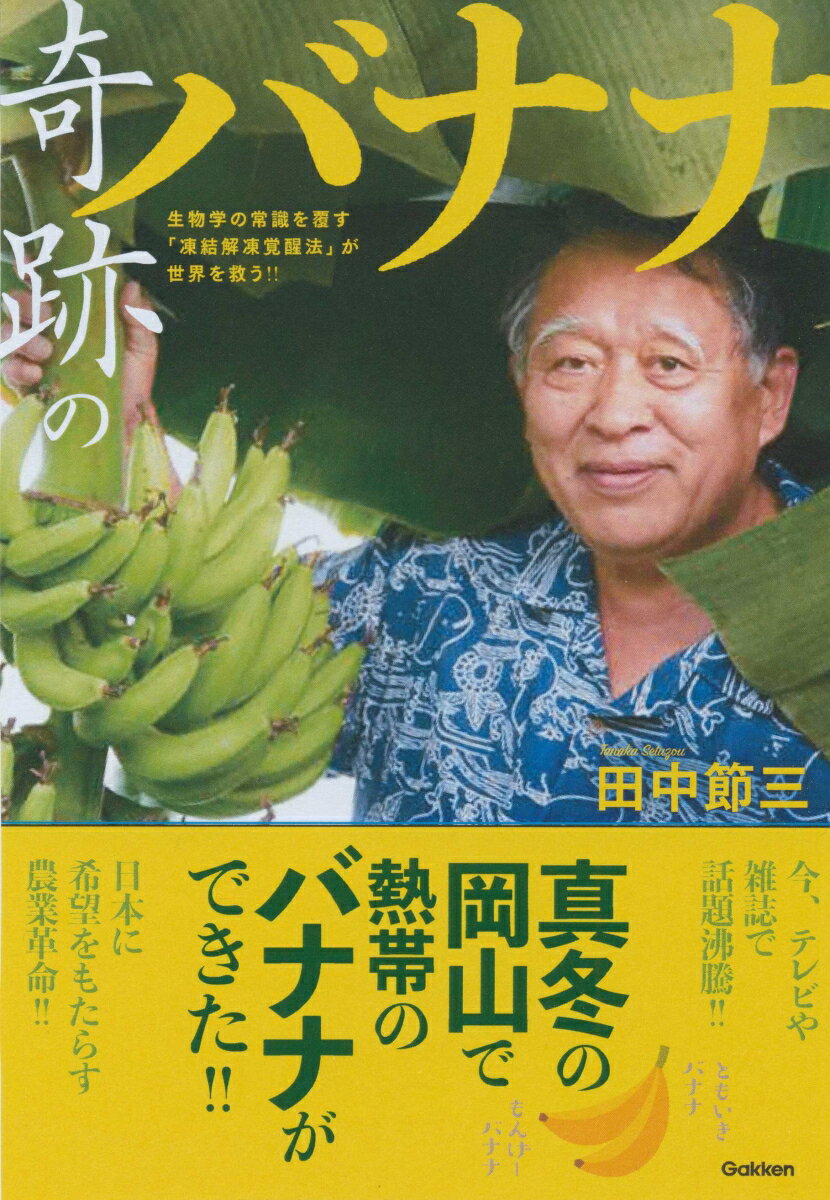 画像の説明