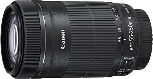 EF-S55-250ISSTMの製品写真