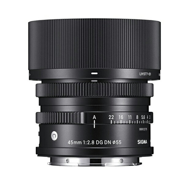 40010000085126360658 1 シグマ45mm F2.8 DG DNレビュー。これ一本で楽しいレンズ。